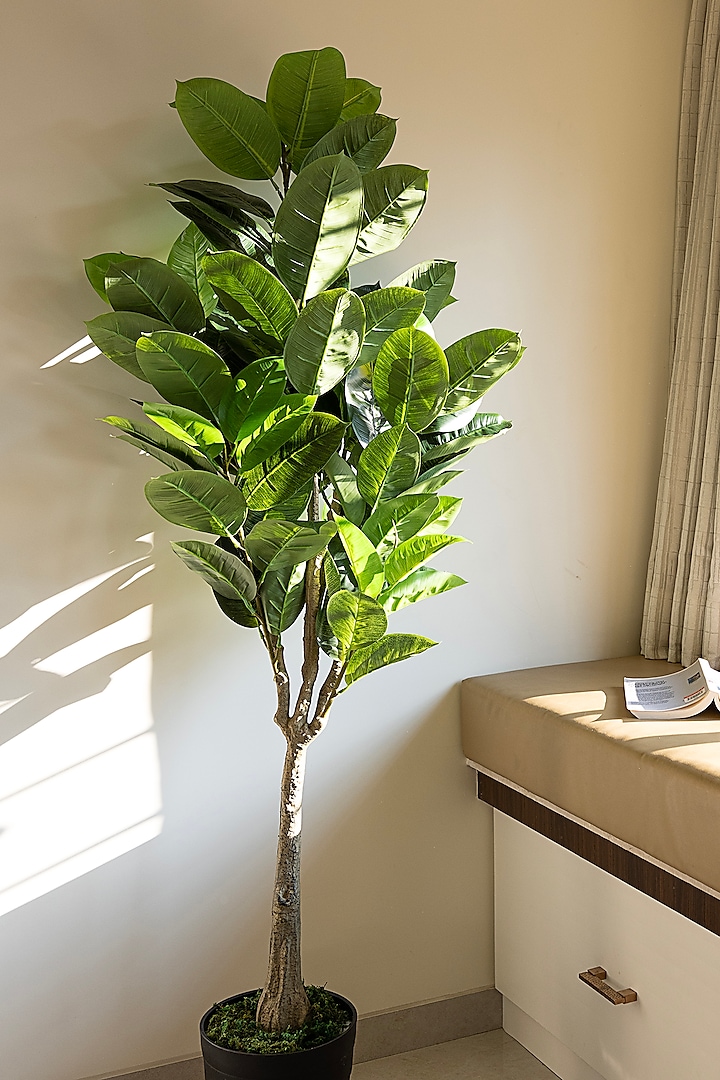 Green Polyester Artificial Rubber Plant by H2H at Pernia's Pop Up Shop