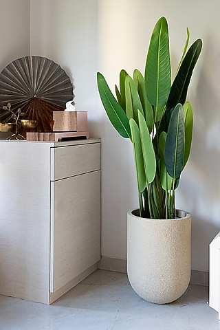 Juniper Beige FRP Planter by H2H