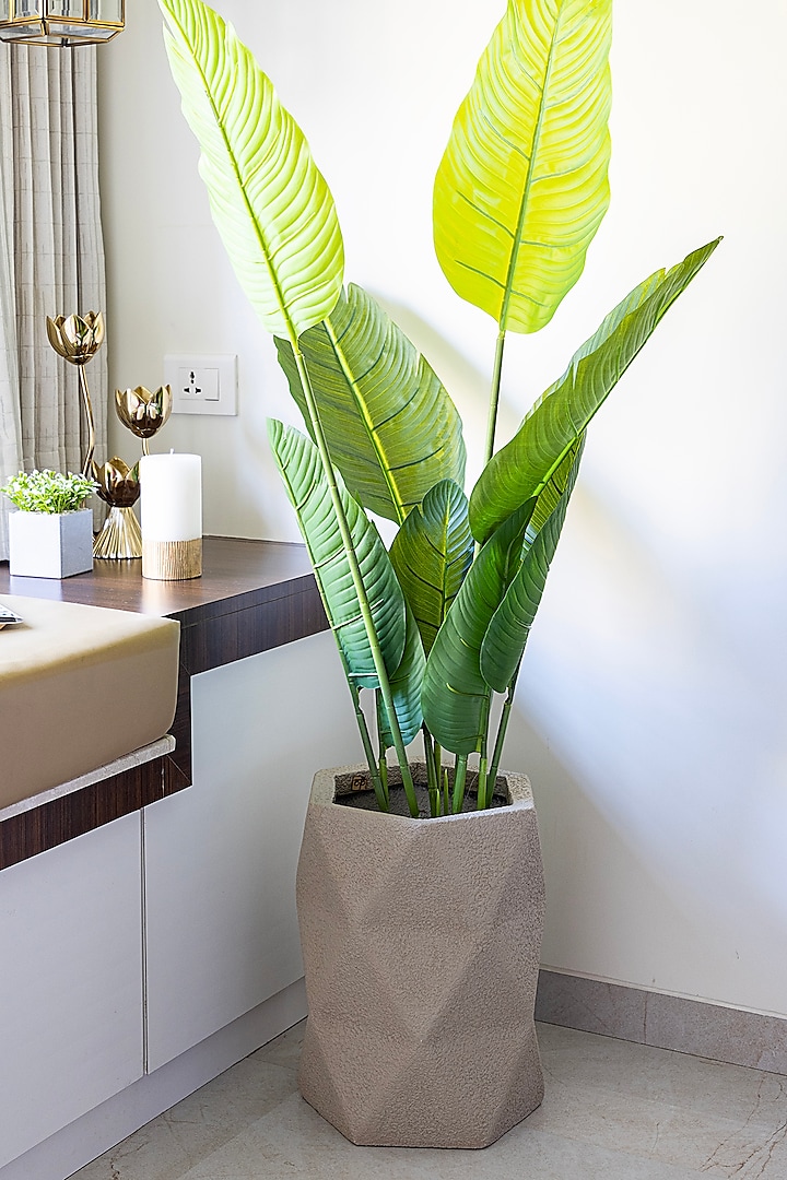 Beige FRP Triangle Planter by H2H