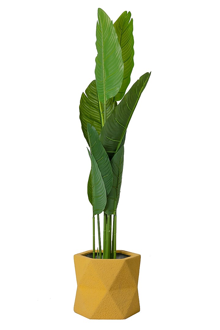 Yellow FRP Triangle Planter by H2H at Pernia's Pop Up Shop