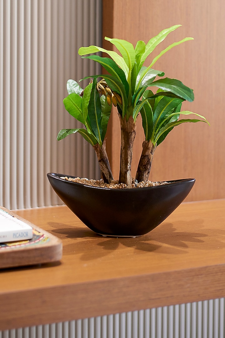 Green Polyester, Plastic & Ceramic Banana Bonsai Artificial Plant by H2H at Pernia's Pop Up Shop