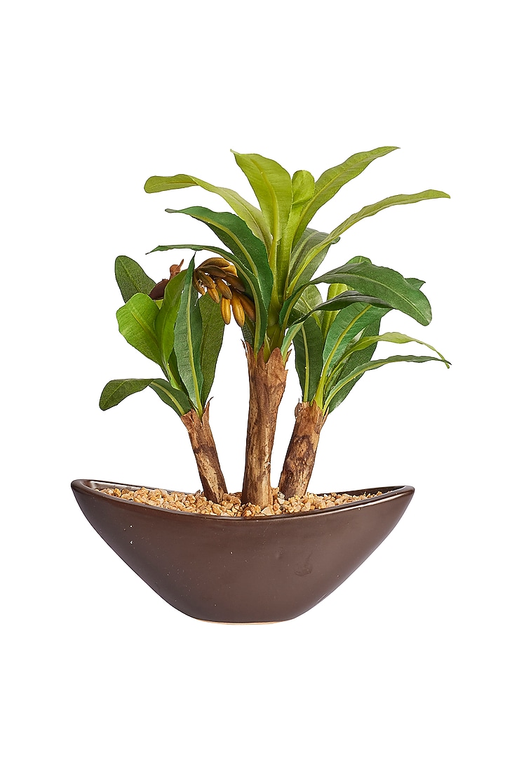 Green Polyester, Plastic & Ceramic Banana Bonsai Artificial Plant by H2H at Pernia's Pop Up Shop