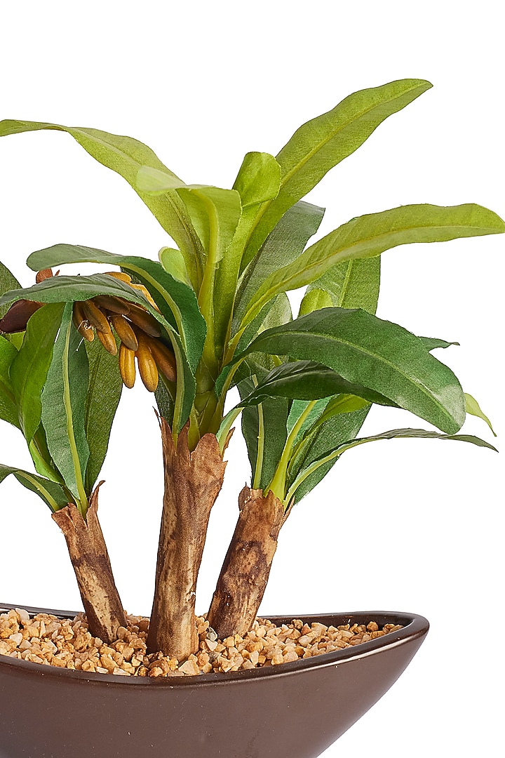 Green Polyester, Plastic & Ceramic Banana Bonsai Artificial Plant by H2H at Pernia's Pop Up Shop