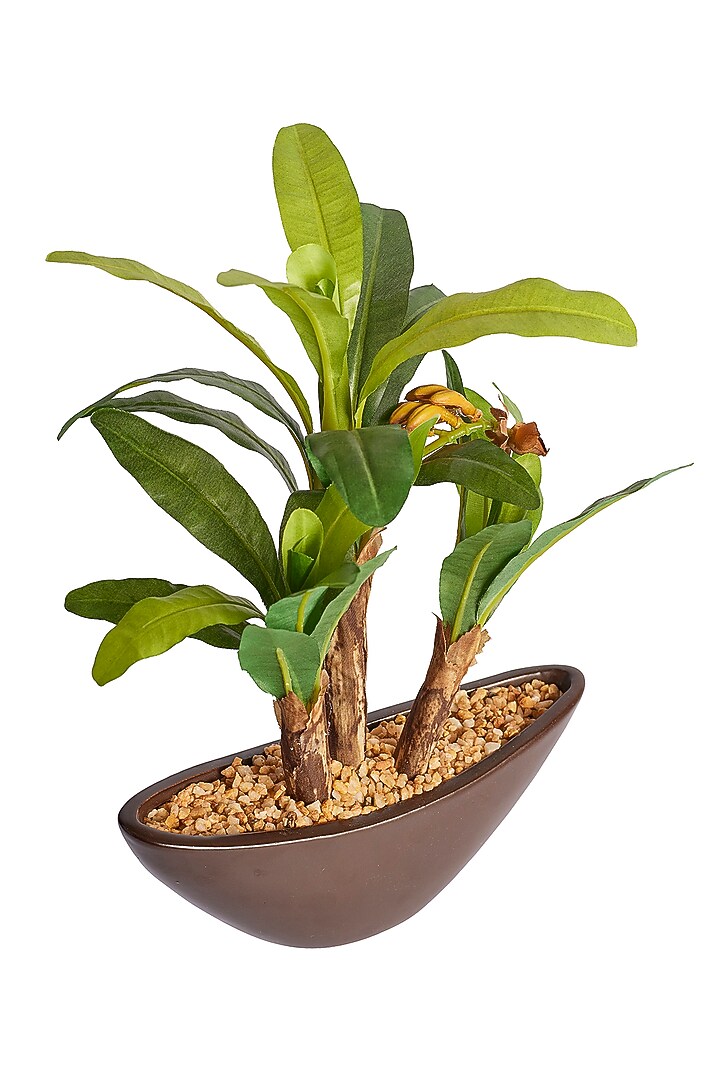 Green Polyester, Plastic & Ceramic Banana Bonsai Artificial Plant by H2H at Pernia's Pop Up Shop