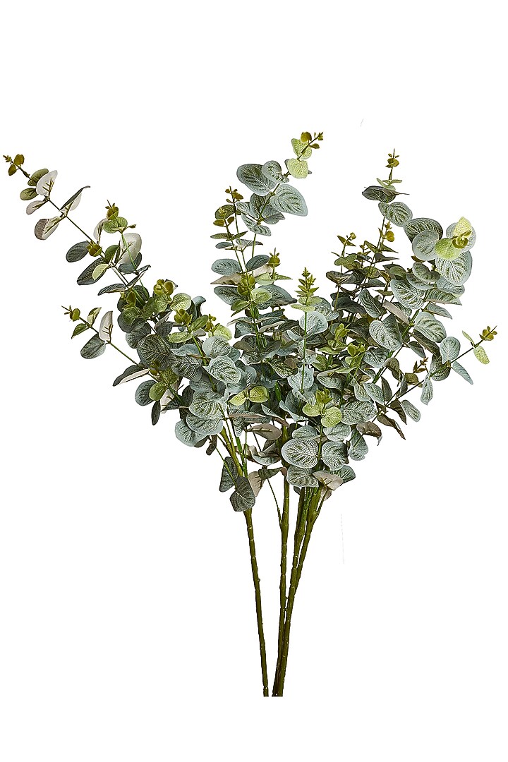 Green Polyester, Plastic & Ceramic Eucalyptus Gunnii Artificial Plant (Set Of 4) by H2H at Pernia's Pop Up Shop