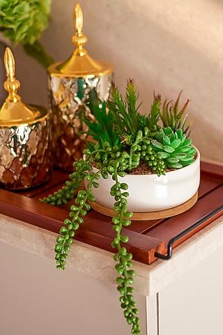 Green Polyester, Plastic & Ceramic Artificial Plant by H2H