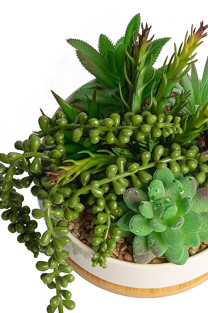 Green Polyester, Plastic & Ceramic Artificial Plant by H2H at Pernia's Pop Up Shop