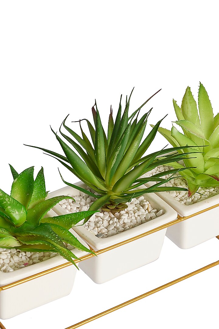 Green Polyester, Plastic & Metal Artificial Bonsai Plant (Set Of 3) by H2H at Pernia's Pop Up Shop