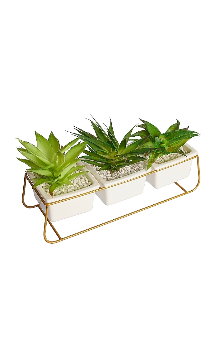 Green Polyester, Plastic & Metal Artificial Bonsai Plant (Set Of 3) by H2H at Pernia's Pop Up Shop