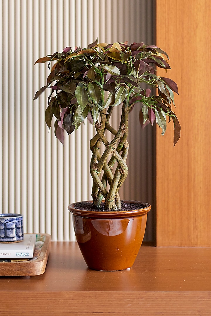 Green Polyester, Plastic & Ceramic Artificial Plant by H2H