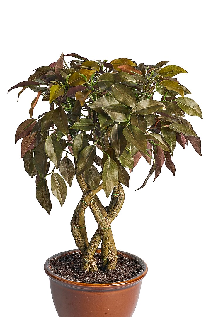 Green Polyester, Plastic & Ceramic Artificial Plant by H2H at Pernia's Pop Up Shop