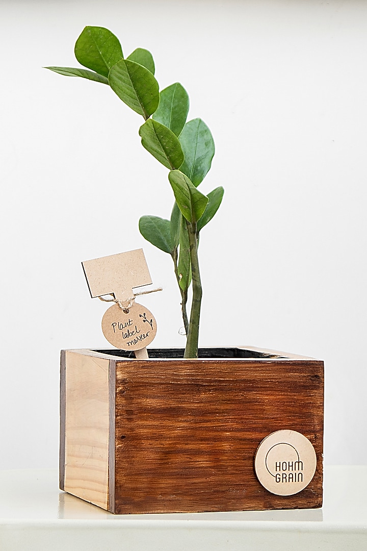 Brown Canadian Pine Wood Cube Planters Set by Hohmgrain at Pernia's Pop Up Shop