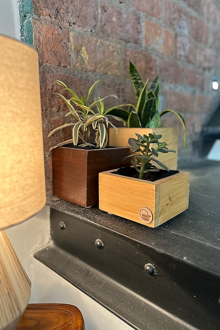 Brown Canadian Pine Wood Cube Planters Set by Hohmgrain at Pernia's Pop Up Shop