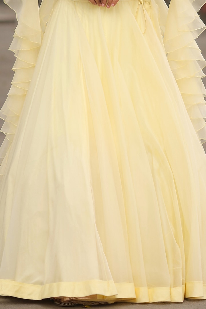 Lemon Sorbet Organza & Net Lehenga Set by House Of Tushaom at Pernia's Pop Up Shop