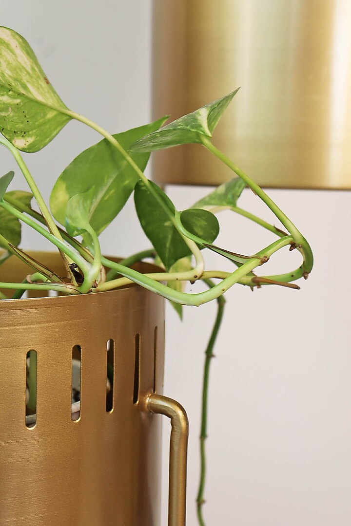 Gold Iron Planters by Muun Home at Pernia's Pop Up Shop