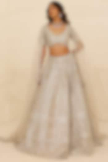 Grey Organza Hand Embroidered Lehenga Set by Studio Iris