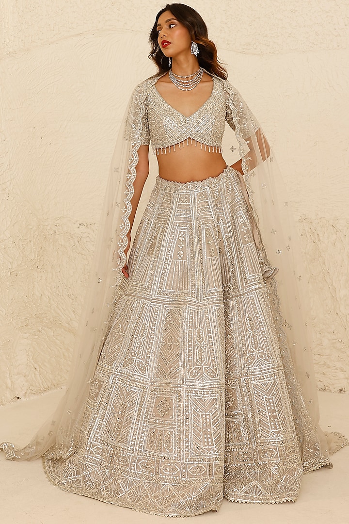 Grey Organza Hand Embroidered Lehenga Set by Studio Iris