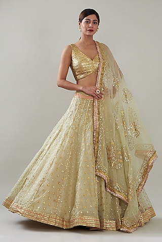 Mint Green Silk Organza Lehenga Set by ITRH