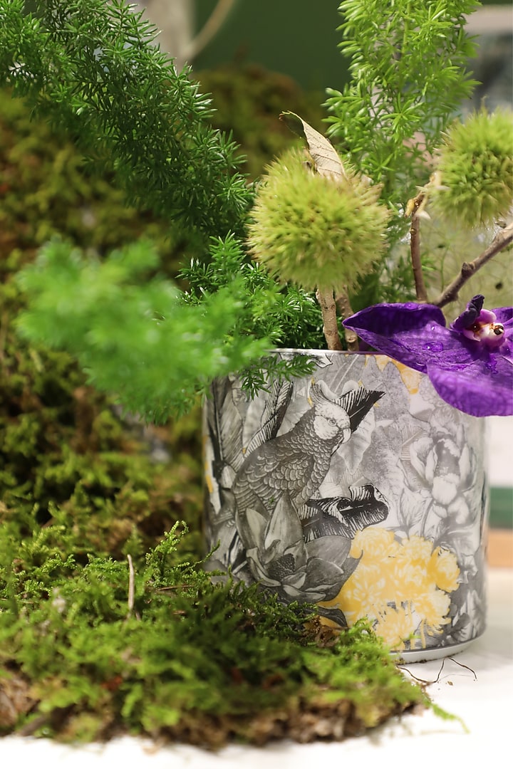 Multi-Colored Fine Bone China Planter by IZZHAAR at Pernia's Pop Up Shop