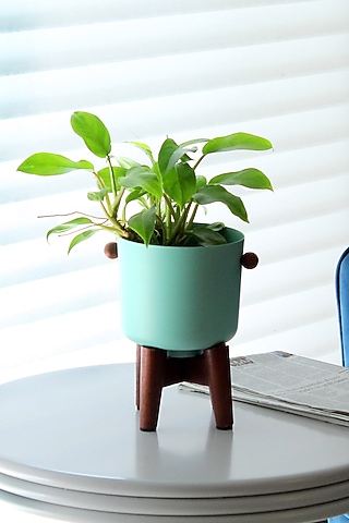 Aqua Green Tin & Wood Planter by IZZHAAR