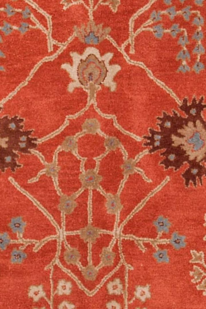 Orange Rust Wool Yarn & Poly Yarn Handtufted Rug by Jaipur Rugs at Pernia's Pop Up Shop