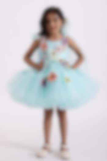 Baby Blue Net & Silk Floral Hand Embroidered Fluffy Dress For Girls by Janyas Closet
