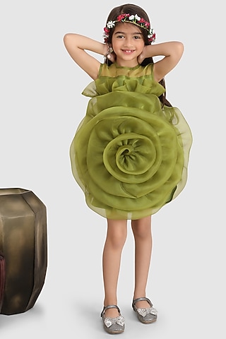 Green Organza Floral Dress For Girls by Jelly Jones