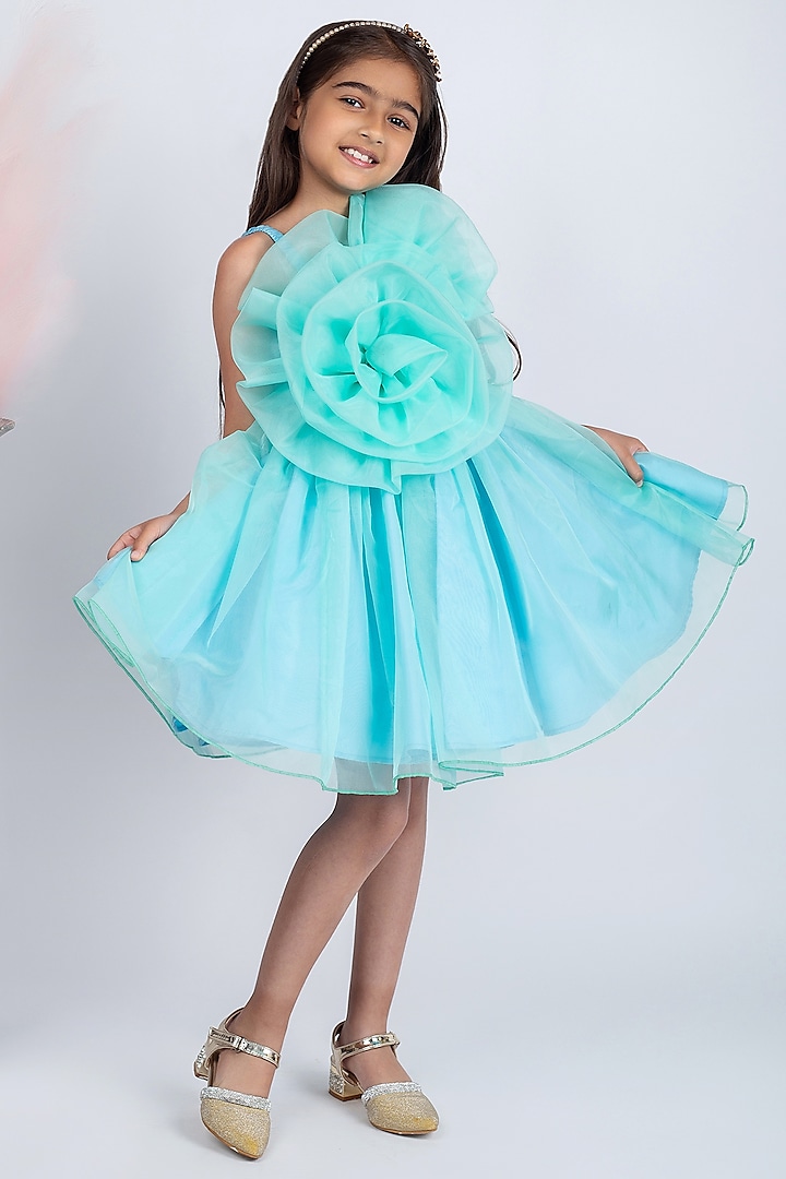 Green Organza Floral Dress For Girls by Jelly Jones at Pernia's Pop Up Shop