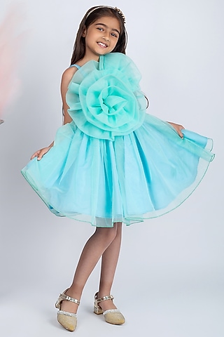 Green Organza Floral Dress For Girls by Jelly Jones