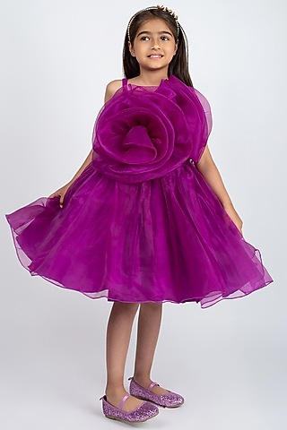 Wine Organza Floral Dress For Girls by Jelly Jones