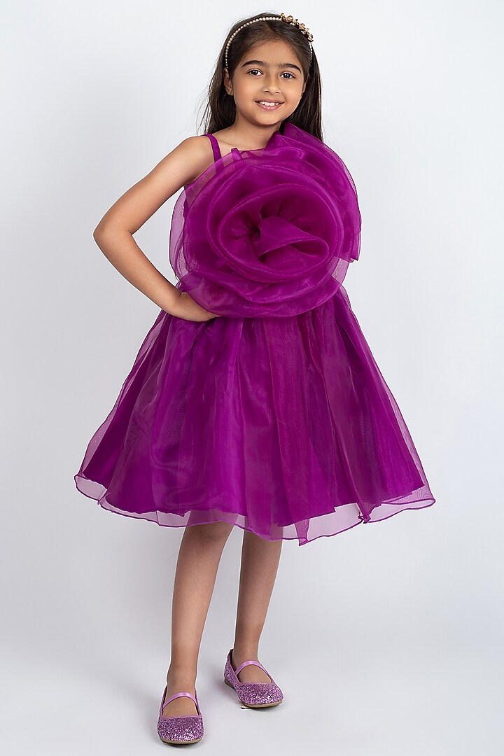 Wine Organza Floral Dress For Girls by Jelly Jones at Pernia's Pop Up Shop