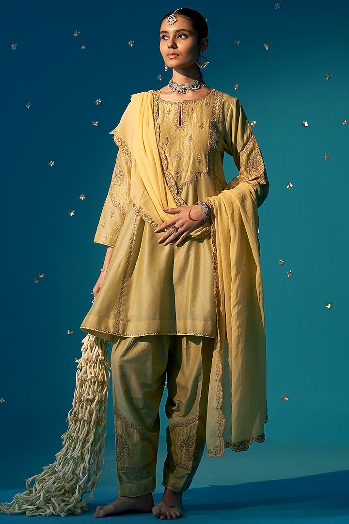 Soft Green Chanderi Zardosi Embroidered A-Line Kali Kurta Set by JUGGNI at Pernia's Pop Up Shop