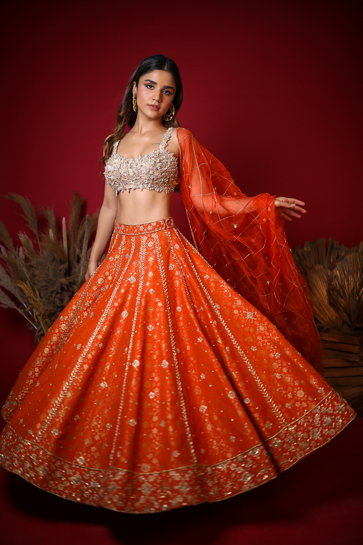 Panetar choli top designs