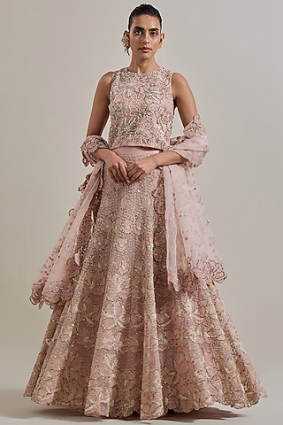 Champagne Organza Hand Embellished Lehenga Set by Kavita Bhartia