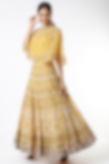 Mango Embroidered Skirt Set by Kavita Bhartia