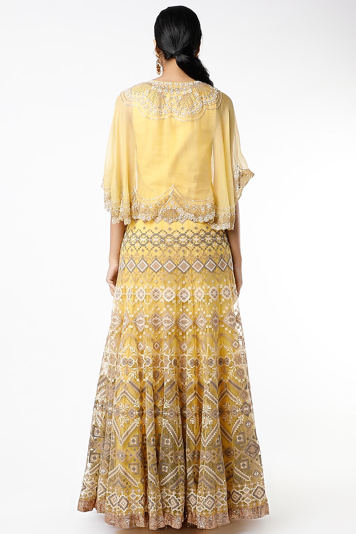 Lemon Mesh Embroidered Skirt Set by Kavita Bhartia at Pernia's Pop Up Shop
