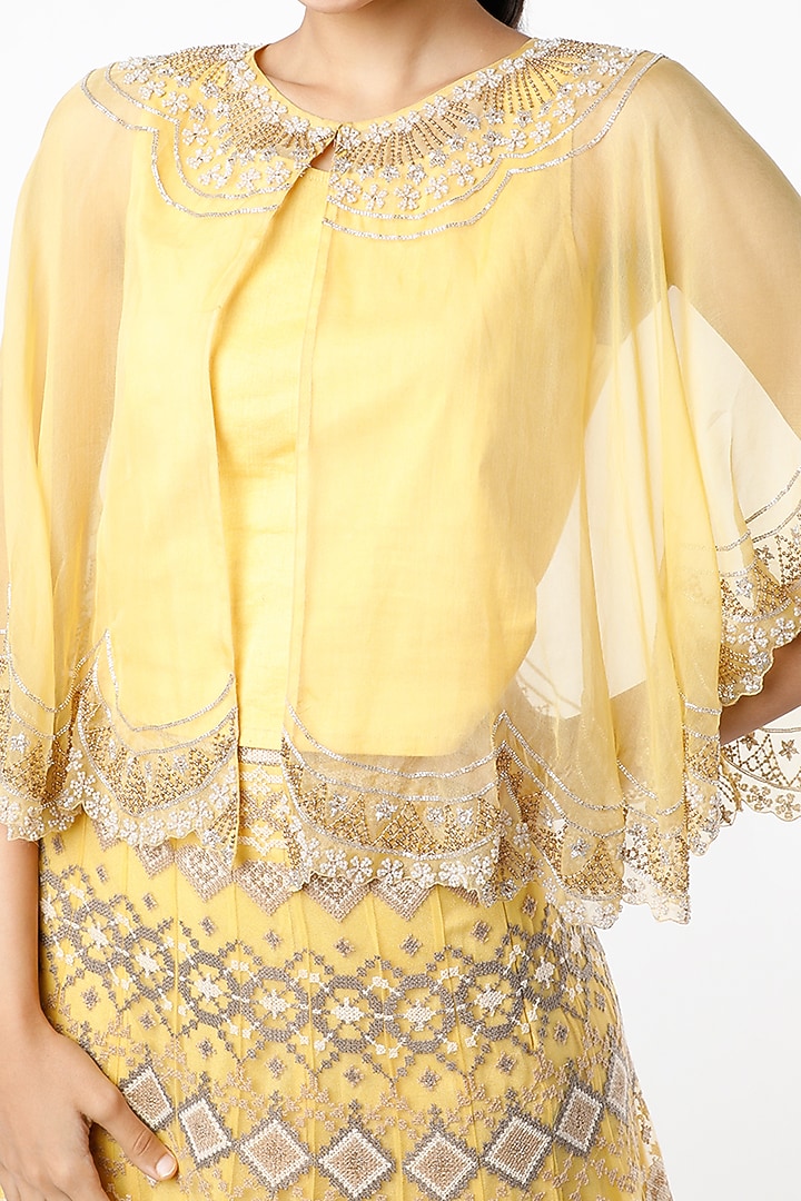 Lemon Mesh Embroidered Skirt Set by Kavita Bhartia at Pernia's Pop Up Shop
