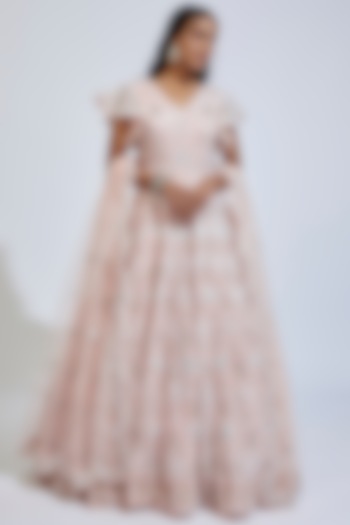 Pink Organza Embroidered Wedding Gown With Dupatta by Kalighata at Pernia's Pop Up Shop