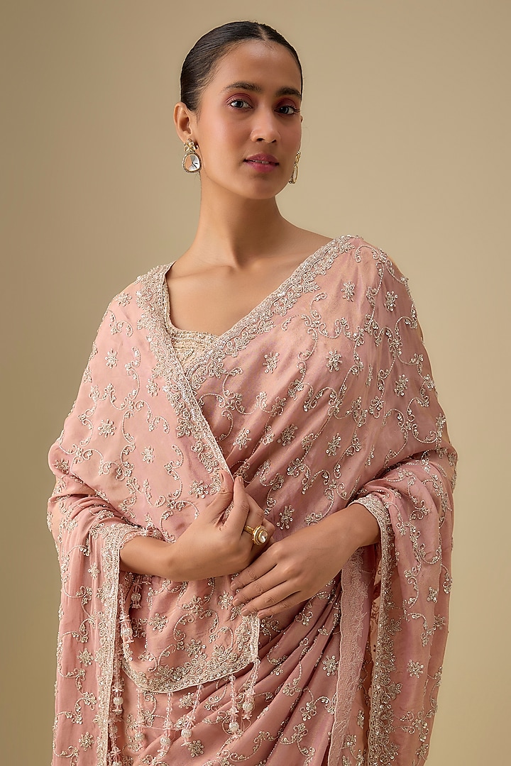 Pink Tissue Hand & Machine Embroidered Reception Saree Set by Kalighata at Pernia's Pop Up Shop