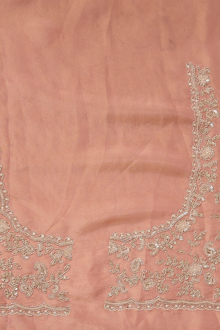 Pink Tissue Hand & Machine Embroidered Reception Saree Set by Kalighata at Pernia's Pop Up Shop