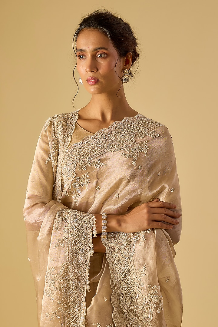 Gold Tissue Hand & Machine Embroidered Reception Saree by Kalighata at Pernia's Pop Up Shop