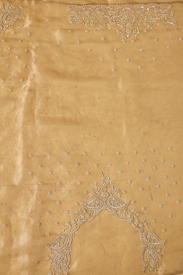 Gold Tissue Hand & Machine Embroidered Reception Saree by Kalighata at Pernia's Pop Up Shop