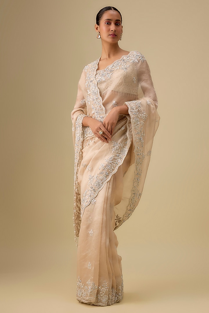 Gold Tissue Hand & Machine Embroidered Reception Saree Set by Kalighata at Pernia's Pop Up Shop