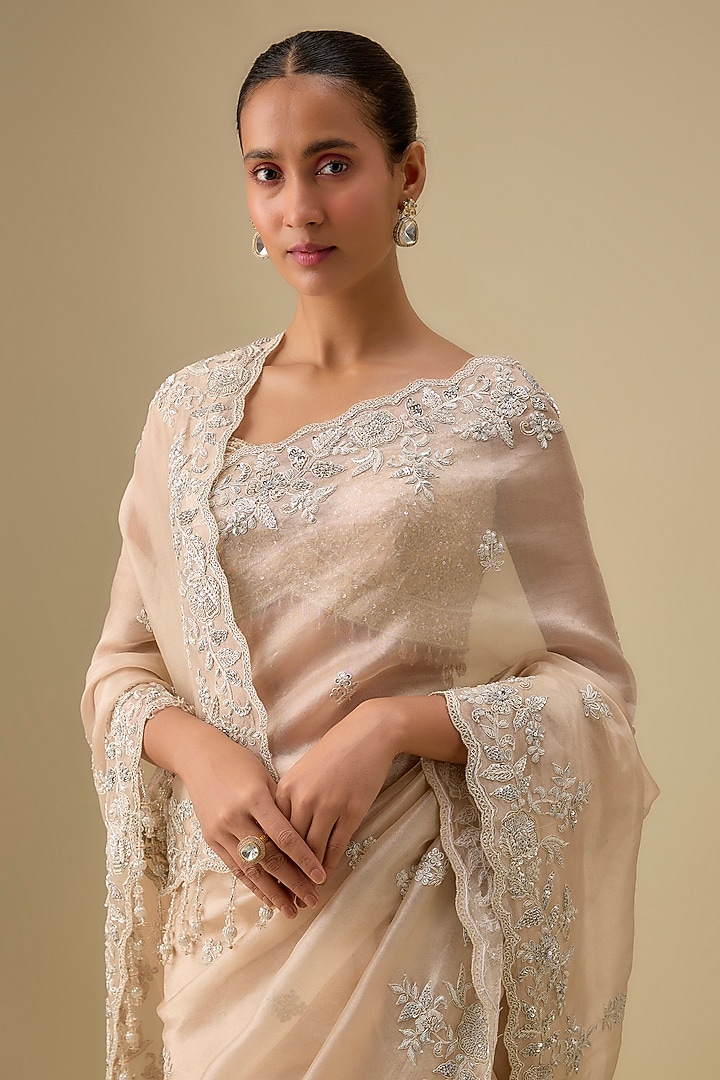 Gold Tissue Hand & Machine Embroidered Reception Saree Set by Kalighata at Pernia's Pop Up Shop