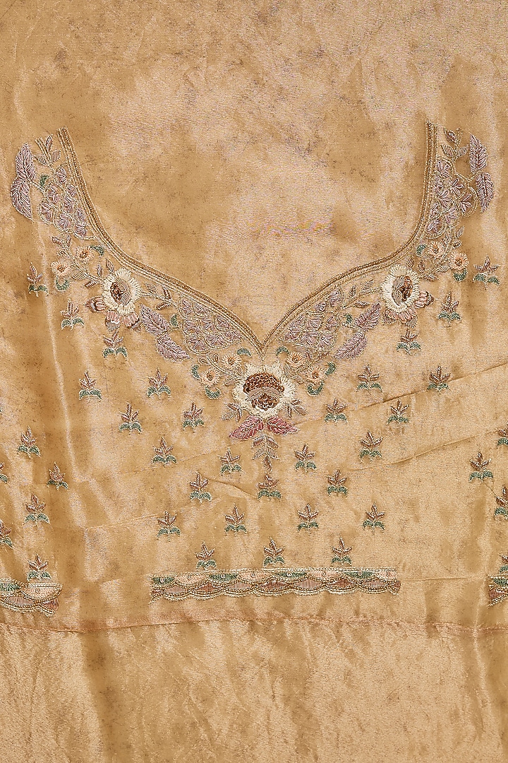 Gold Tissue Hand & Machine Embroidered Bridal Saree Set by Kalighata at Pernia's Pop Up Shop