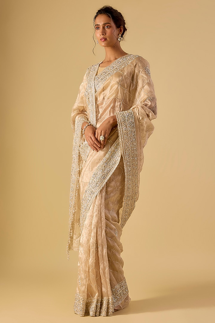 Gold Tissue Hand & Machine Embroidered Reception Saree by Kalighata at Pernia's Pop Up Shop