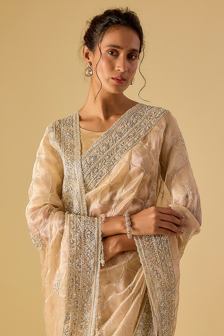Gold Tissue Hand & Machine Embroidered Reception Saree by Kalighata at Pernia's Pop Up Shop