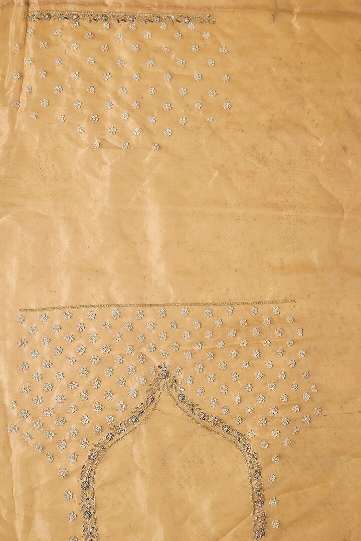 Gold Tissue Hand & Machine Embroidered Reception Saree by Kalighata at Pernia's Pop Up Shop