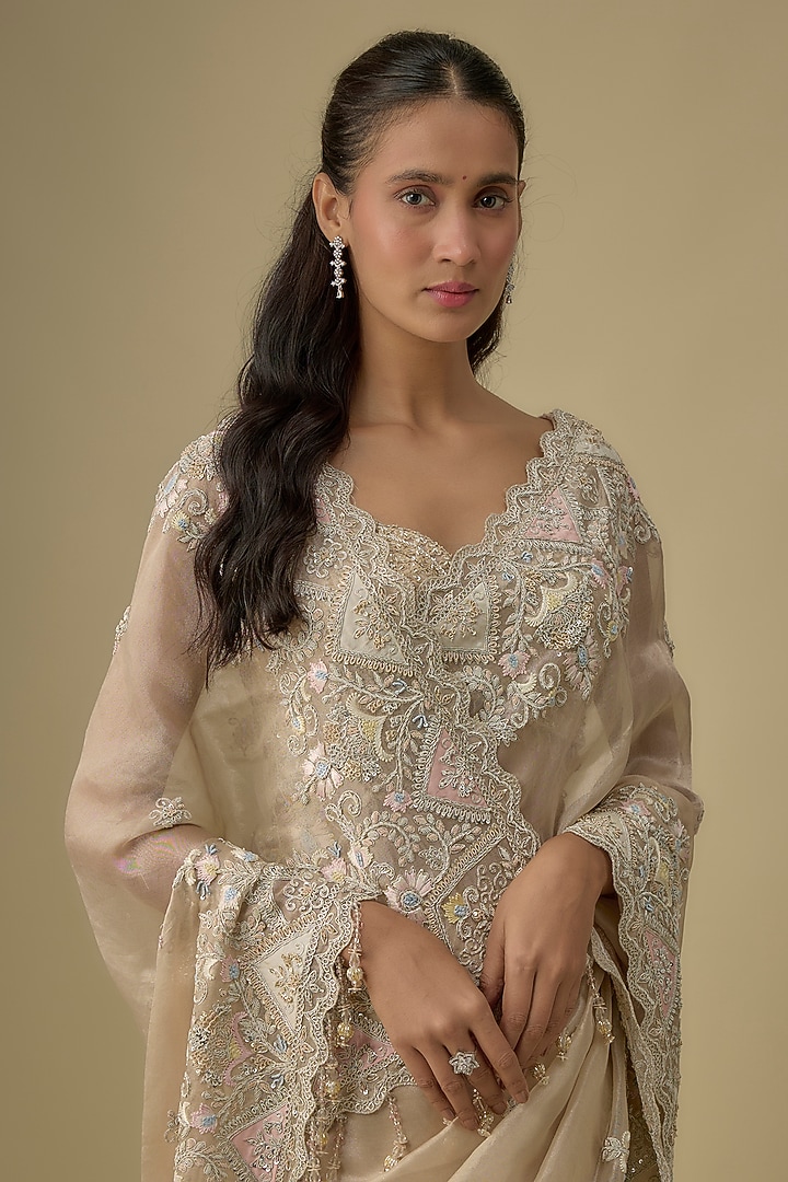 Gold Tissue Hand & Machine Embroidered Bridal Saree Set by Kalighata at Pernia's Pop Up Shop
