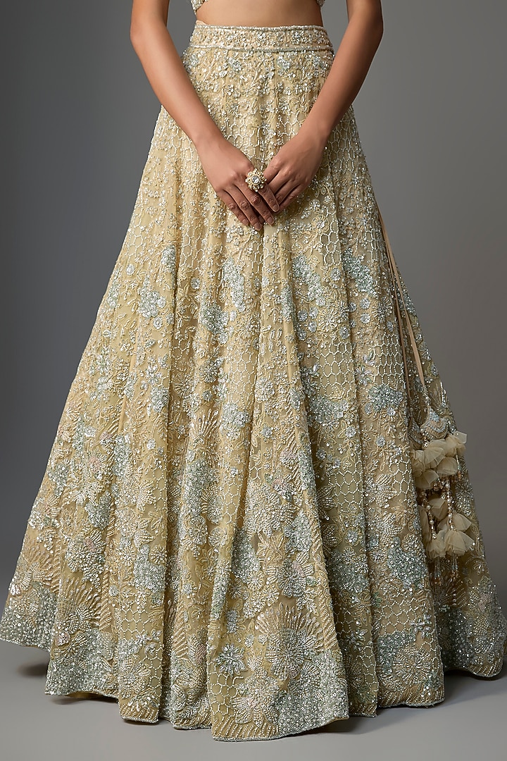 Firoza Organza Embroidered Bridal Lehenga Set by Kalighata at Pernia's Pop Up Shop
